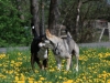bloch_2012_0003