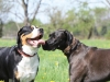 bloch_2012_0010