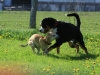 bloch_2012_0115