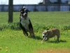 bloch_2012_0121