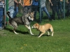 bloch_2012_0135
