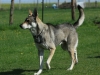 bloch_2012_0140