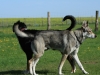 bloch_2012_0145
