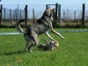 bloch_2012_0175