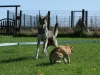 bloch_2012_0181