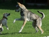 bloch_2012_0198