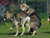 bloch_2012_0207