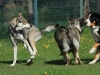 bloch_2012_0208