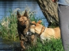 bloch_2012_0294