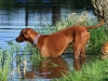 bloch_2012_0313